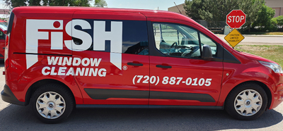 vehicle graphics Photo